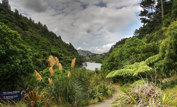 New Zealand study visa guidance